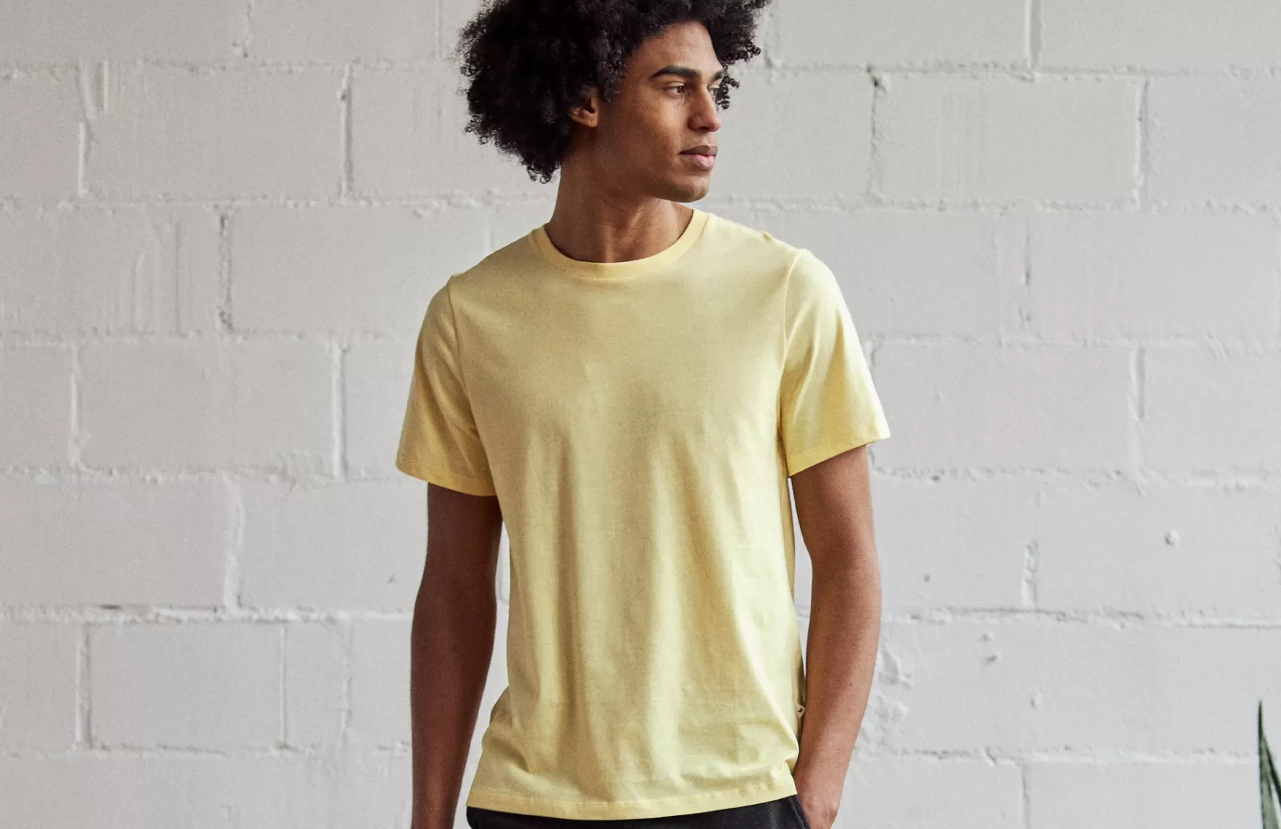 T-Shirts*TWOTHIRDS Monothaki Hellgelb